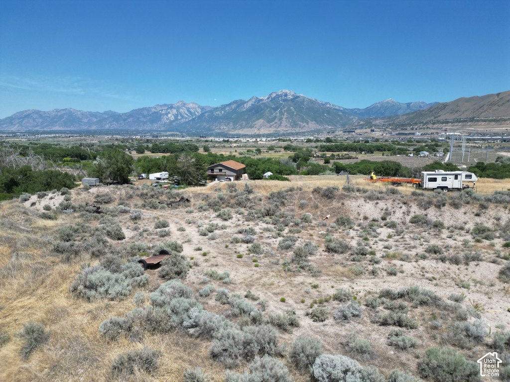 Picture 13