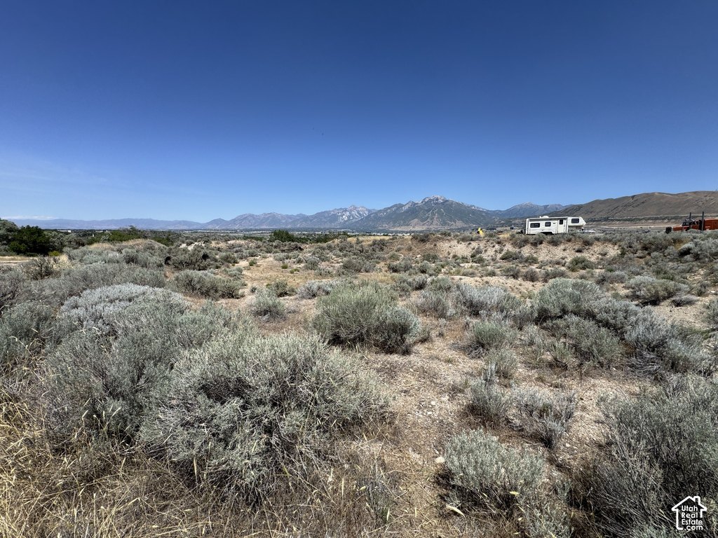 Picture 27