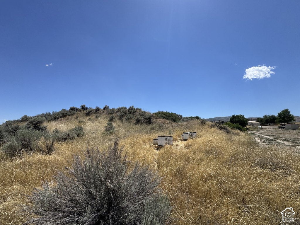 Picture 21