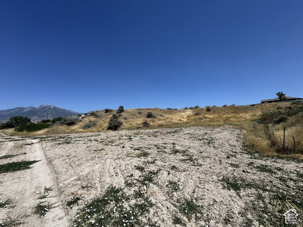 Picture 20