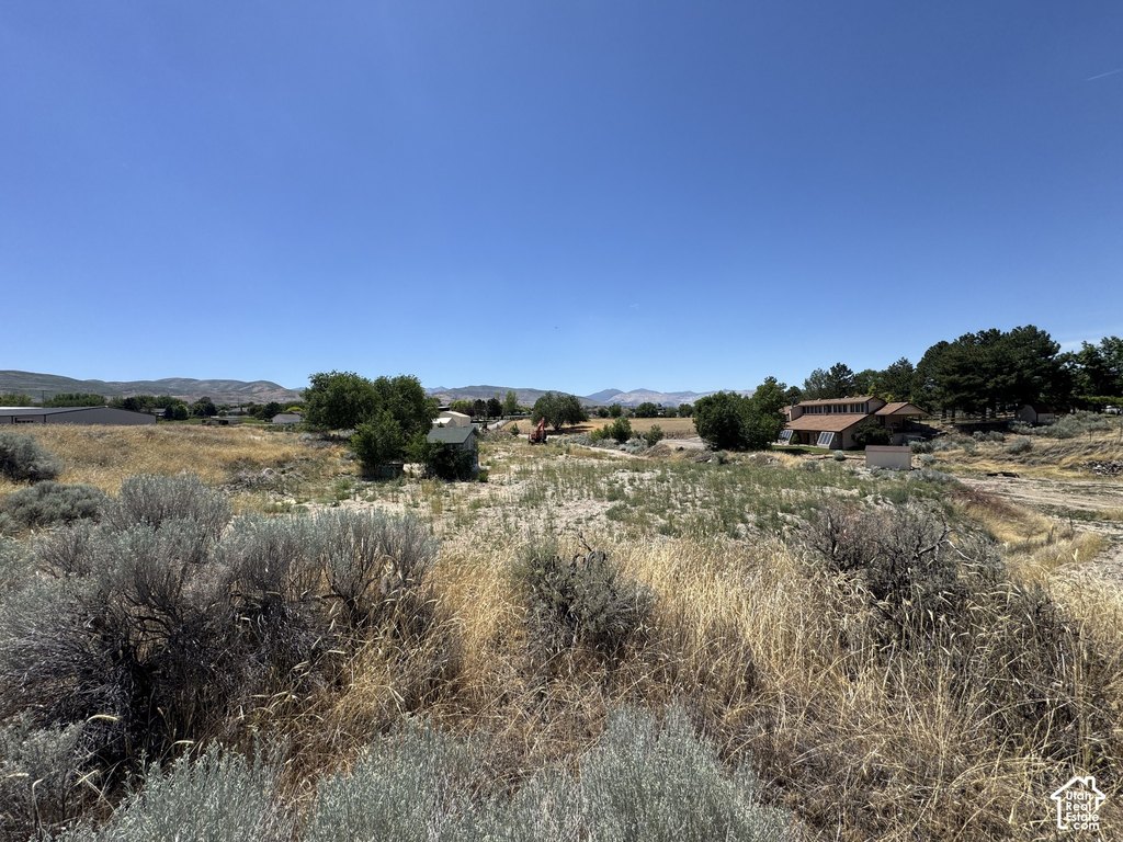 Picture 28