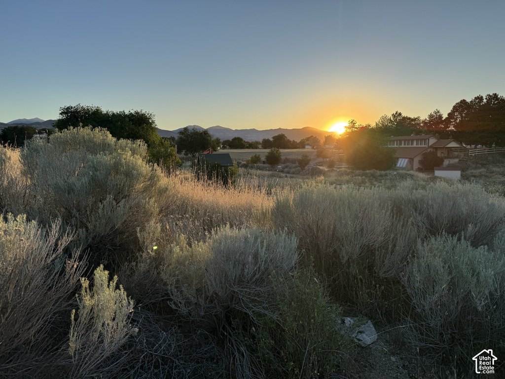 Picture 39