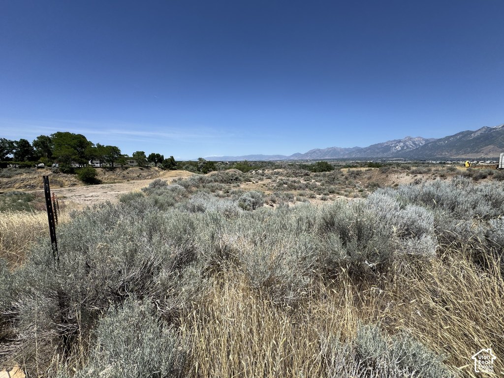 Picture 26