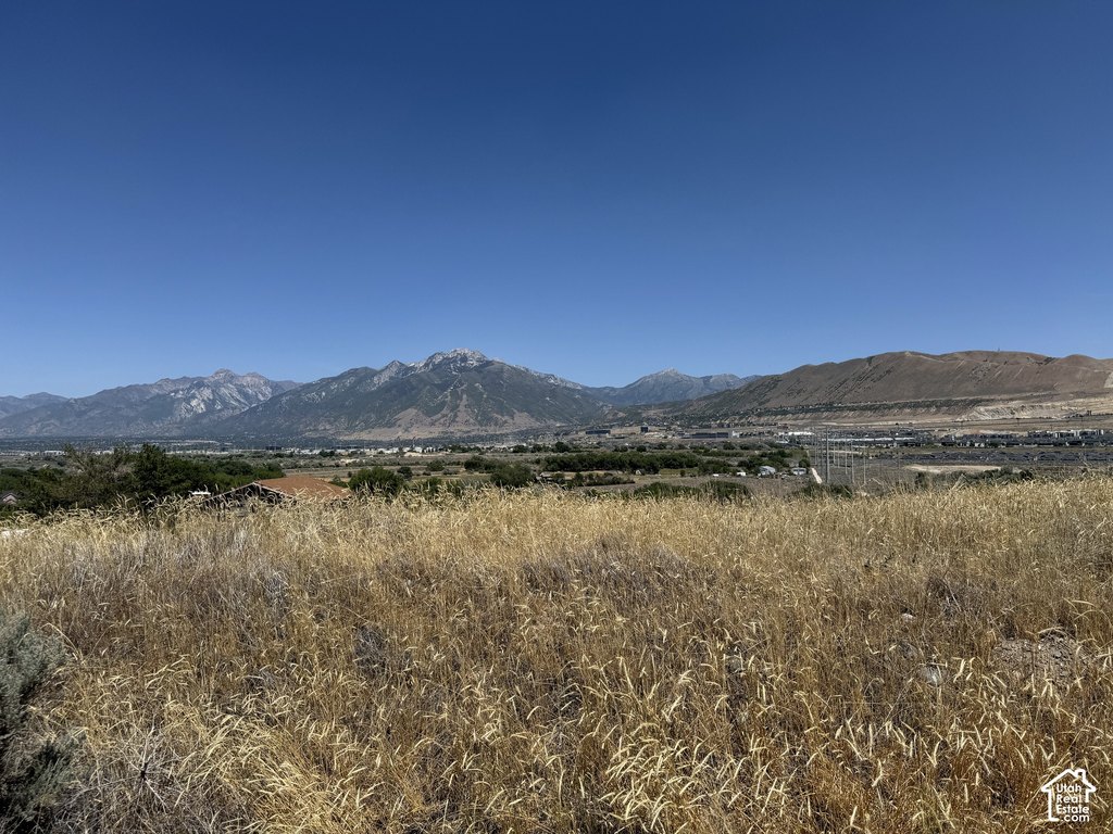Picture 29