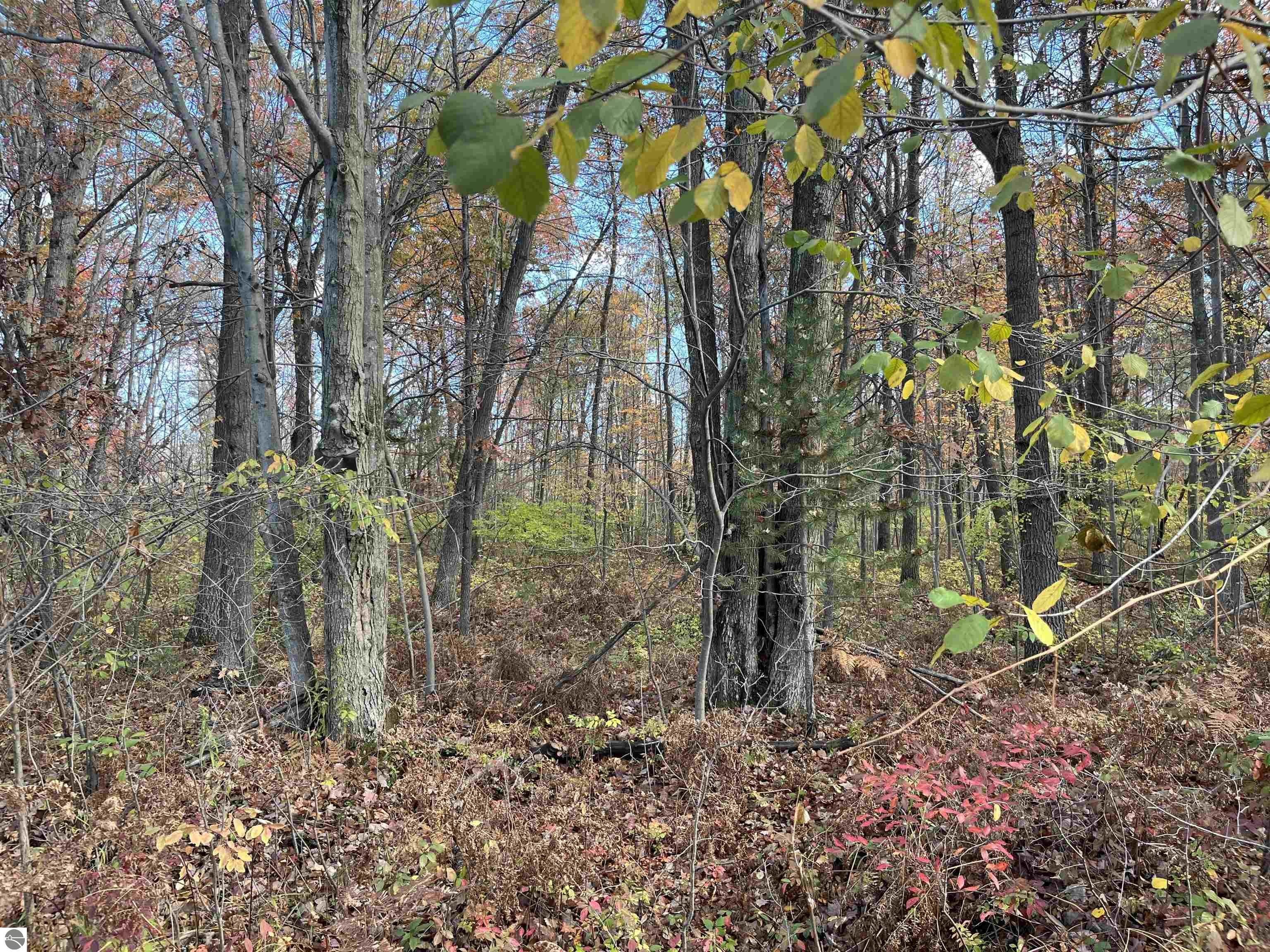 60-Acre Hunting Land Paradise
