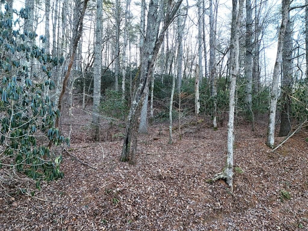 Blairsville Vacant Lot For Sale