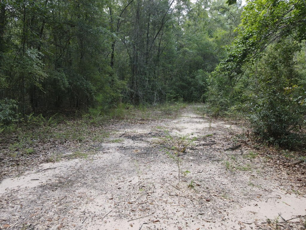 Picture 4