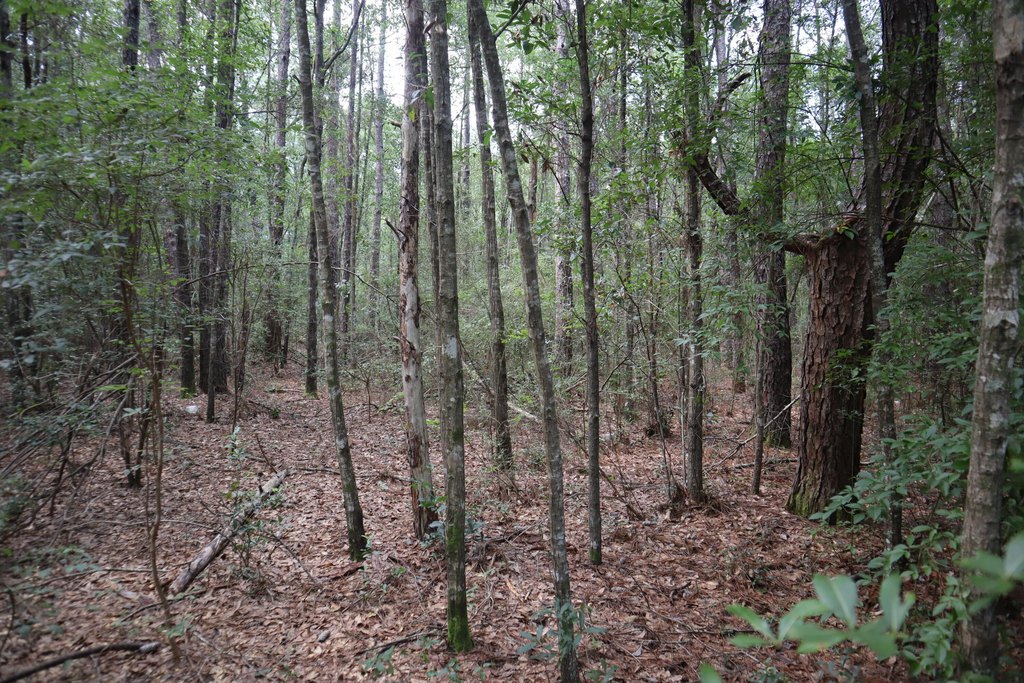 Picture 17