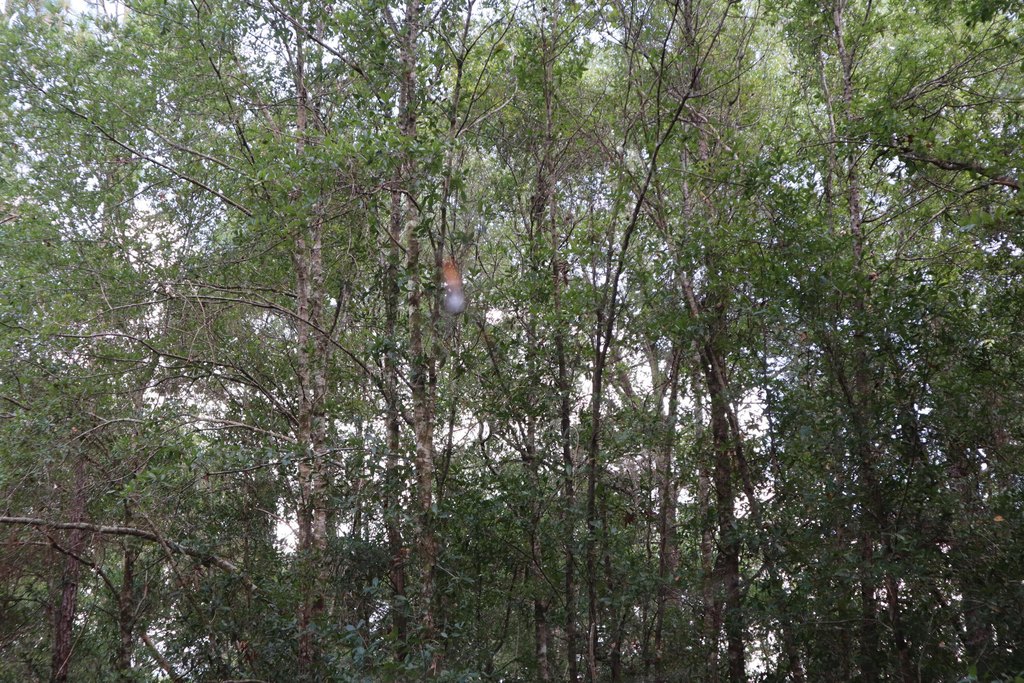 Picture 15