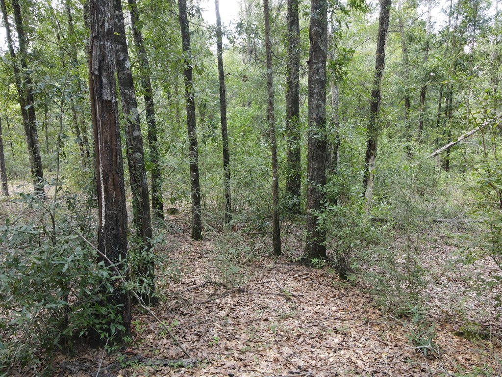 Picture 10