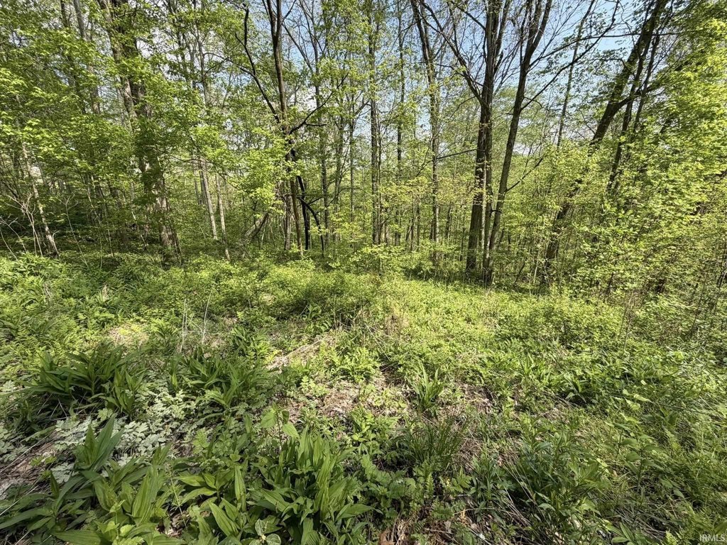 Picture 16