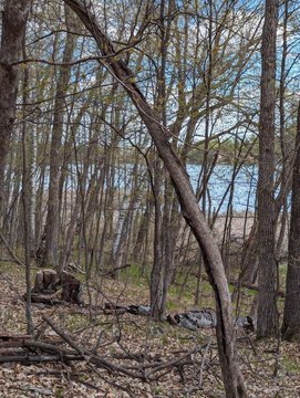 Residential Lot Near Lake