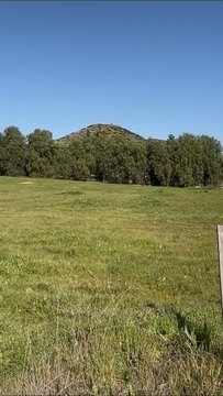 Buildable Lot in Established Neighborhood