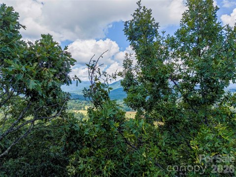 Land, Lake Lure, NC