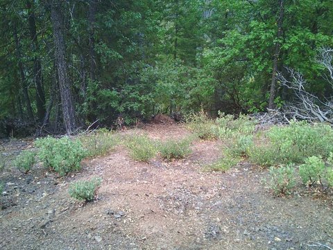 Oak-Covered Hunting Land