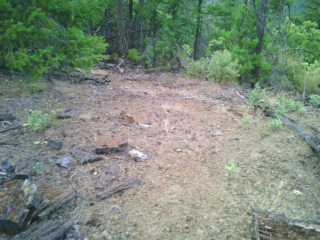Picture 9