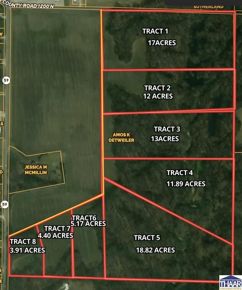 Wooded Acreage in Clay County