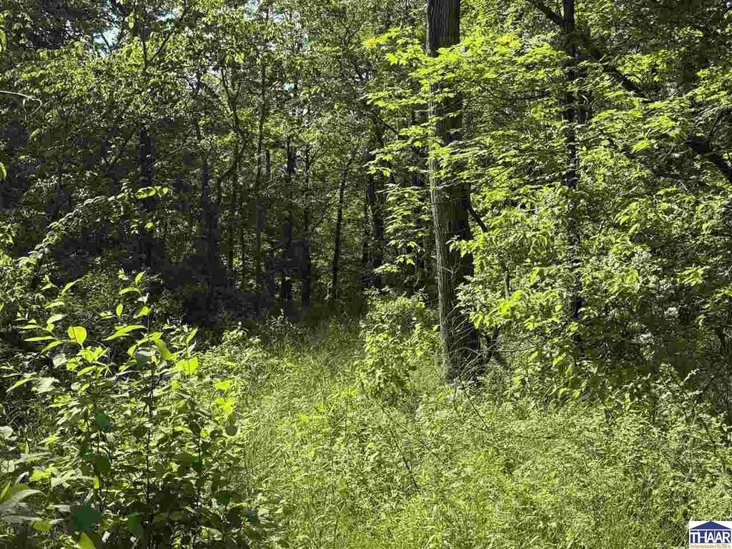 Picture 7