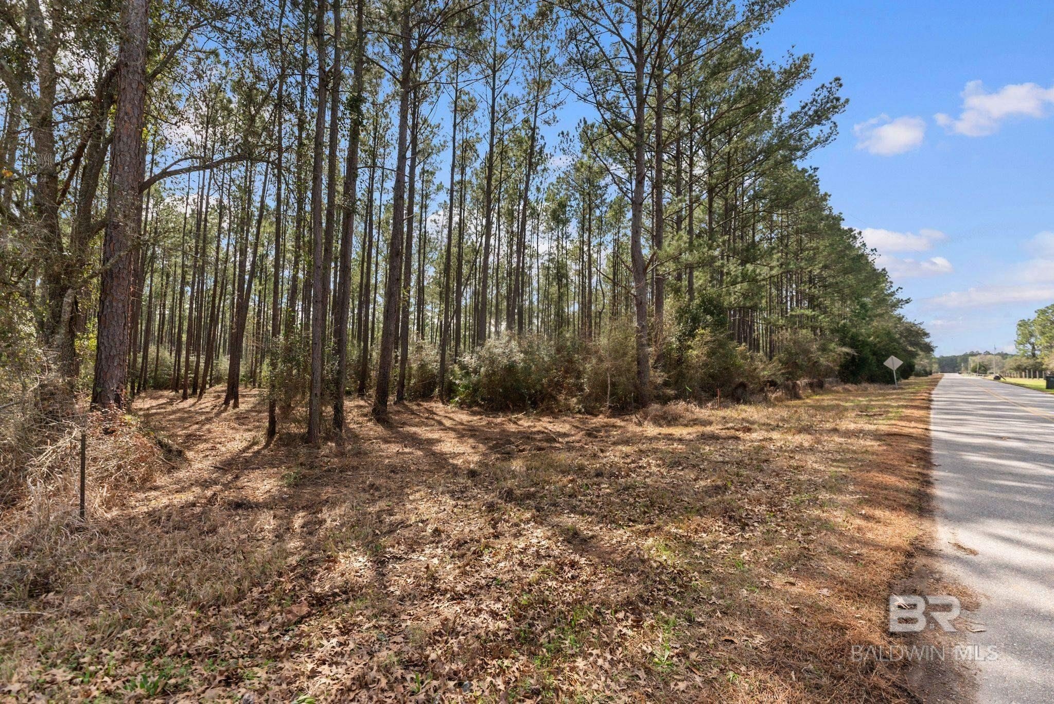 Spacious Land Near Alabama-Florida Line