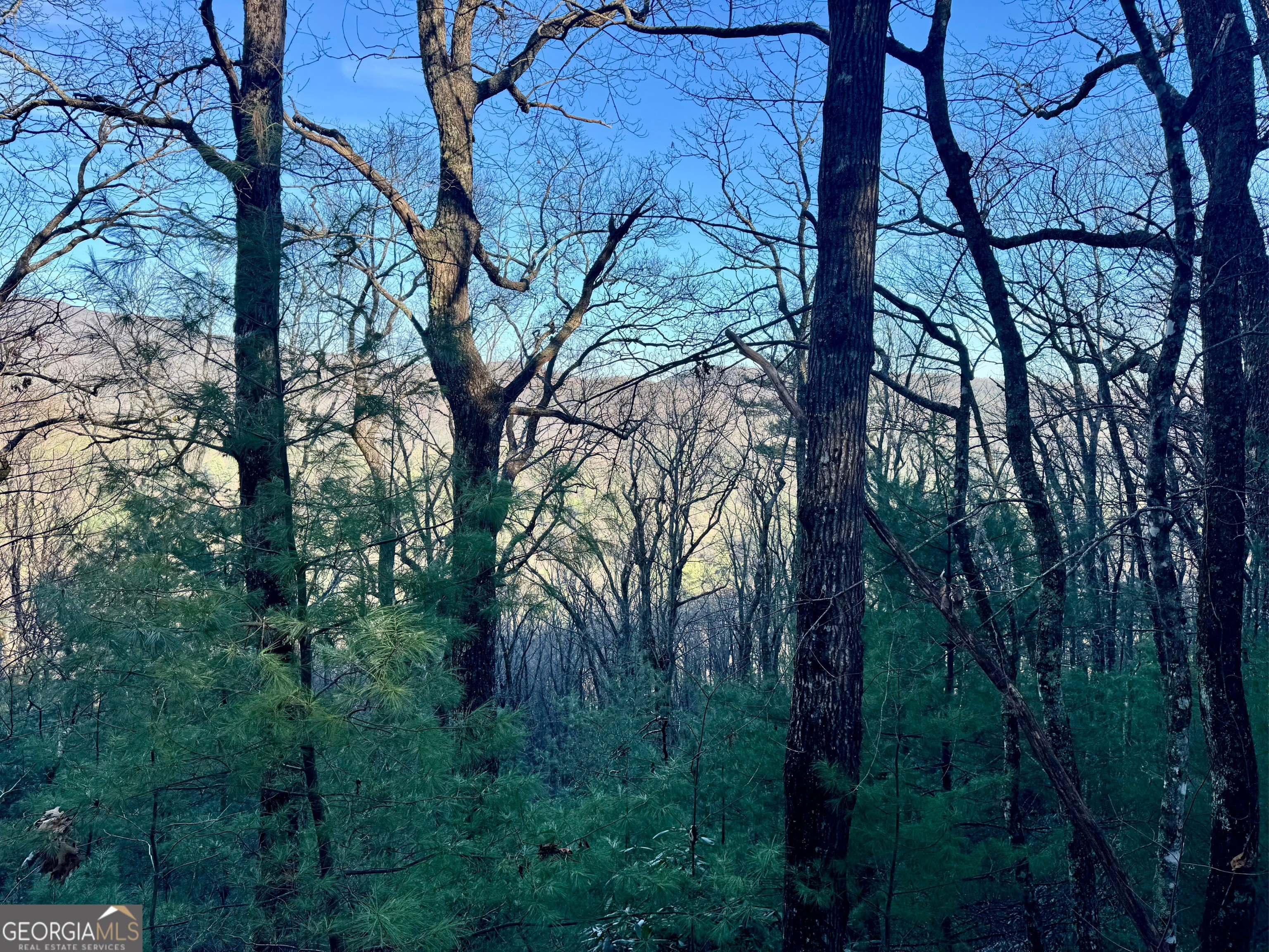 Land Near Helen, Georgia