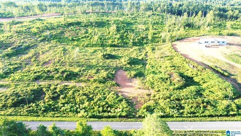 LAND/LOTS, DELTA, AL