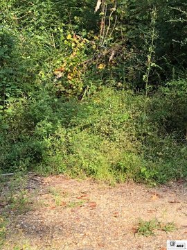 LAND - Monroe, LA