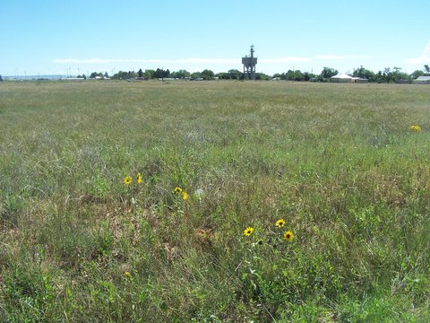 Land, Moriarty, NM