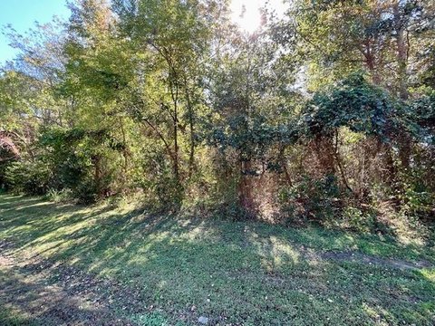 Wooded Lot in Chesapeake Cove