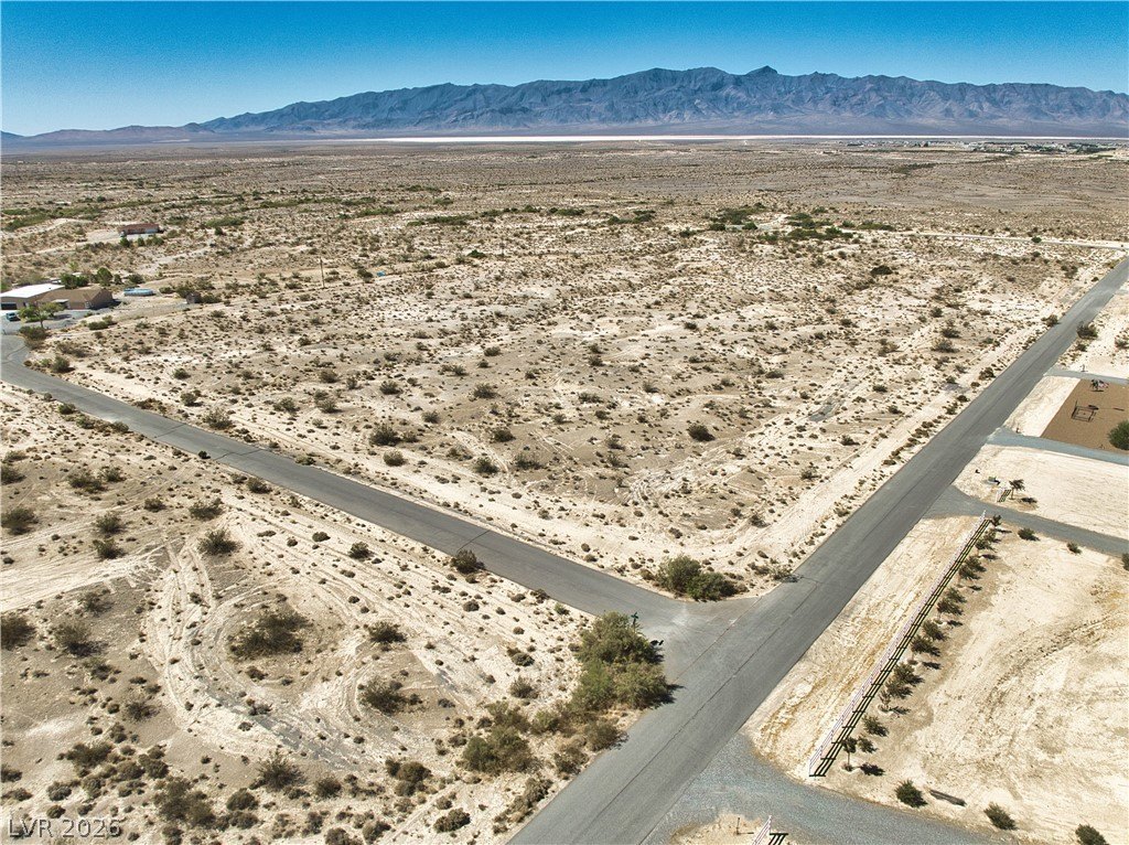 Picture 8
