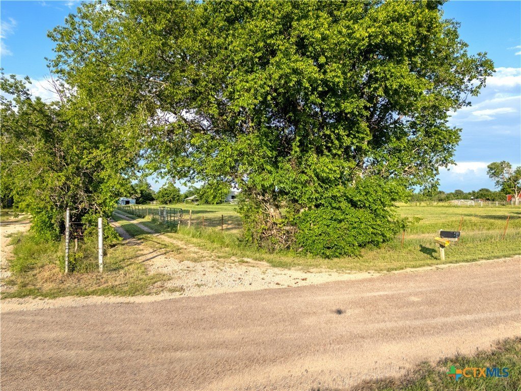 Picture 10