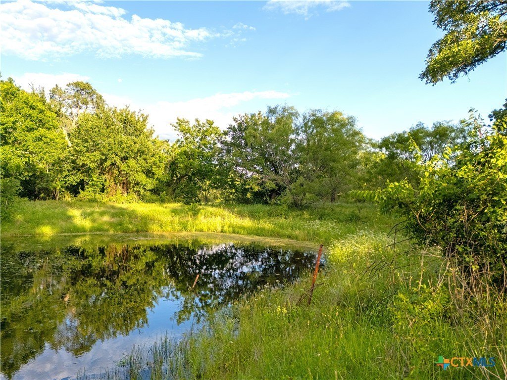 Picture 25