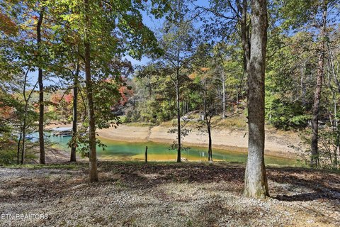 Lots & Acreage, LaFollette, TN