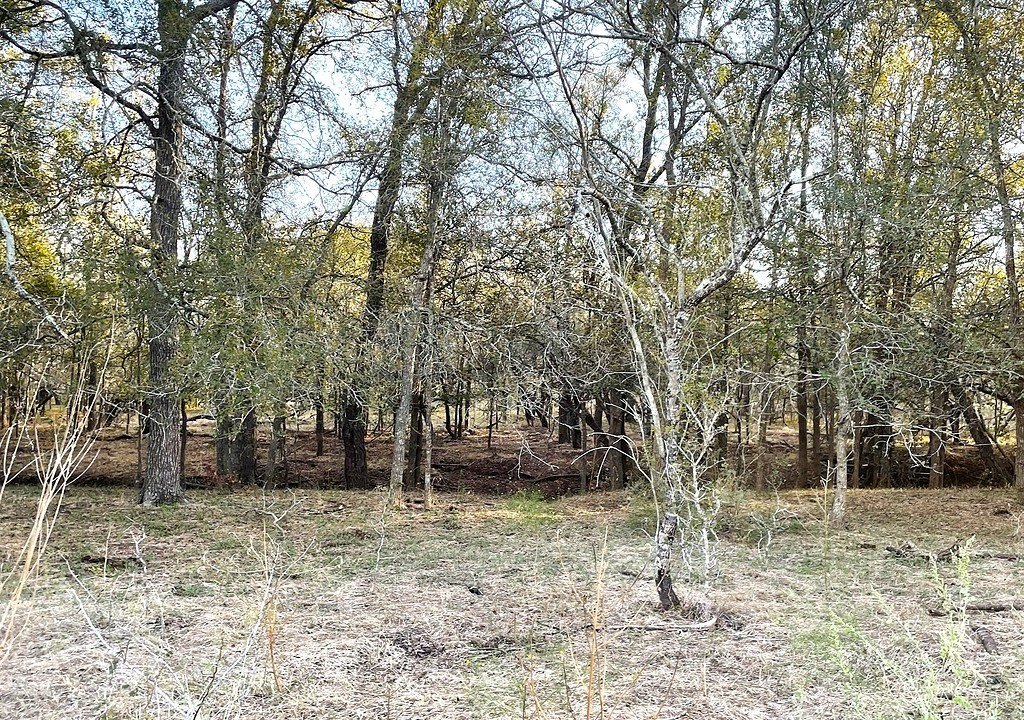 Picture 6