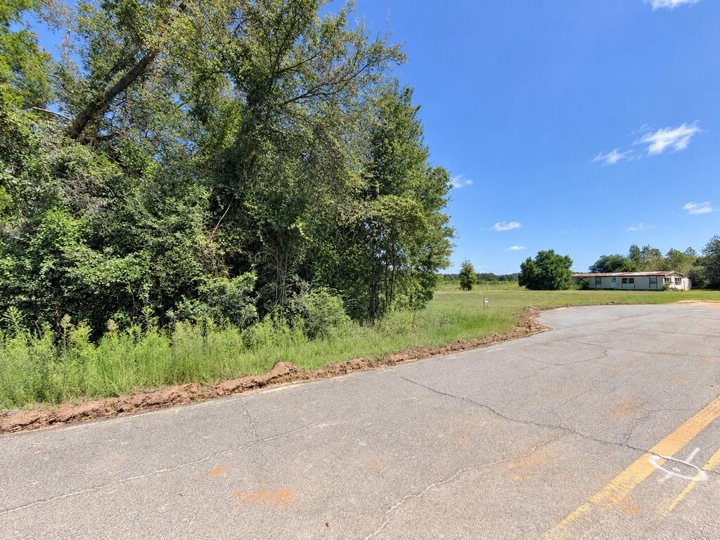 Picture 24