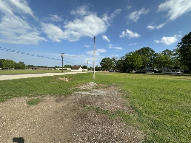 Picture 5
