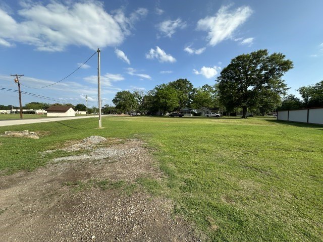 Picture 4