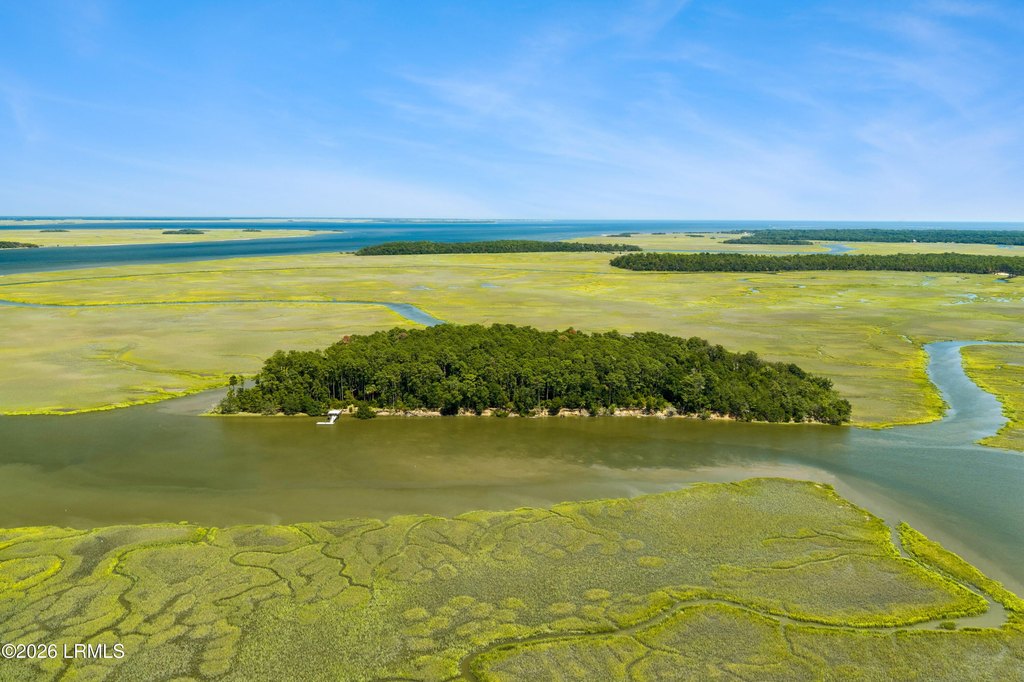 Picture 44