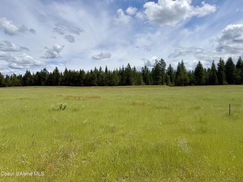 Rural Buildable Acreage