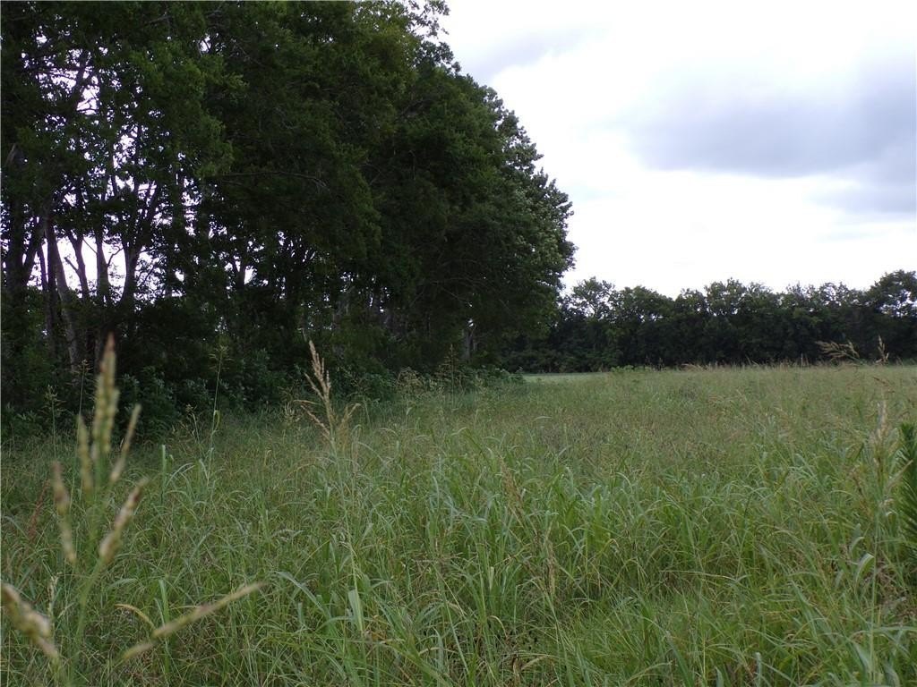 Picture 8