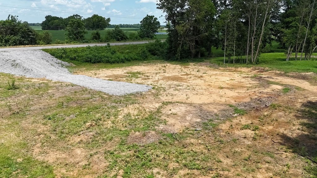 Picture 6