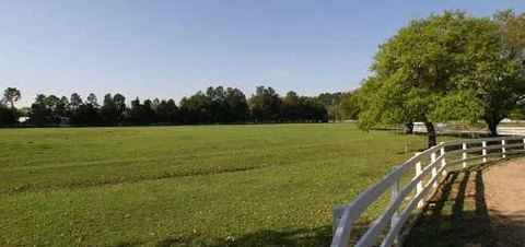 Fully Fenced Equestrian Ranch Lot