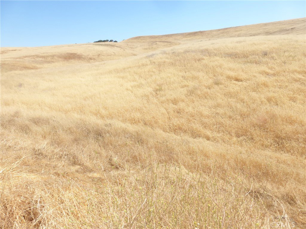 Picture 39