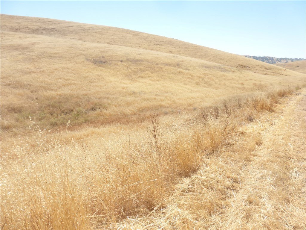 Picture 36