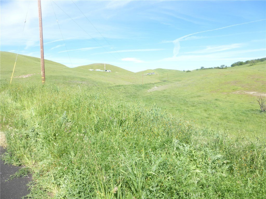 Picture 26