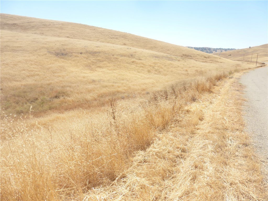 Picture 37