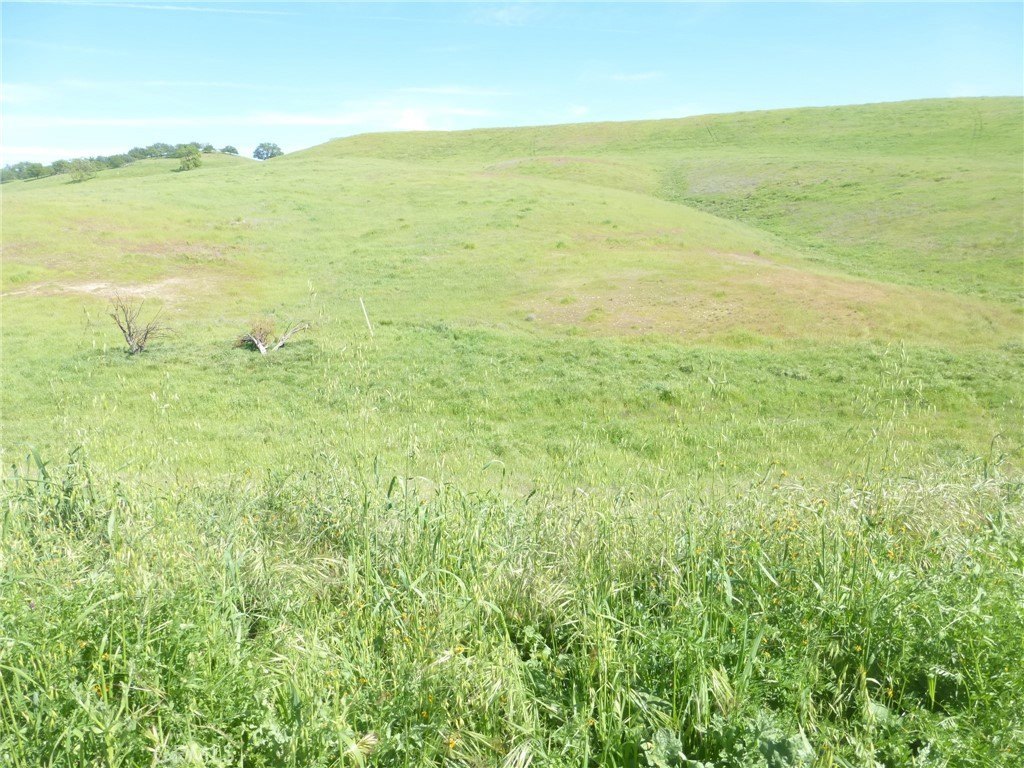 Picture 27