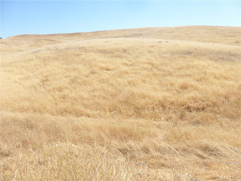 Picture 38