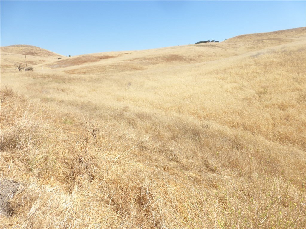 Picture 40