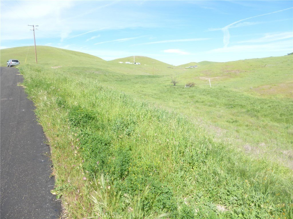 Picture 23