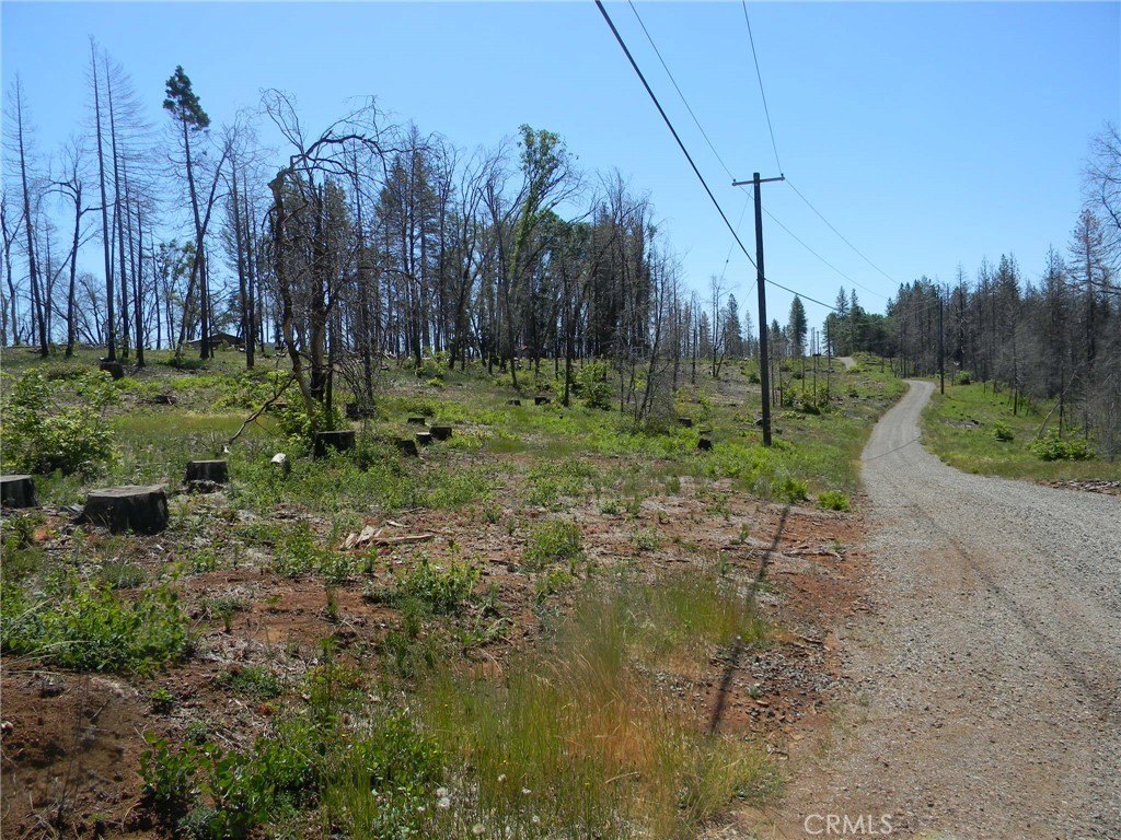 Picture 13